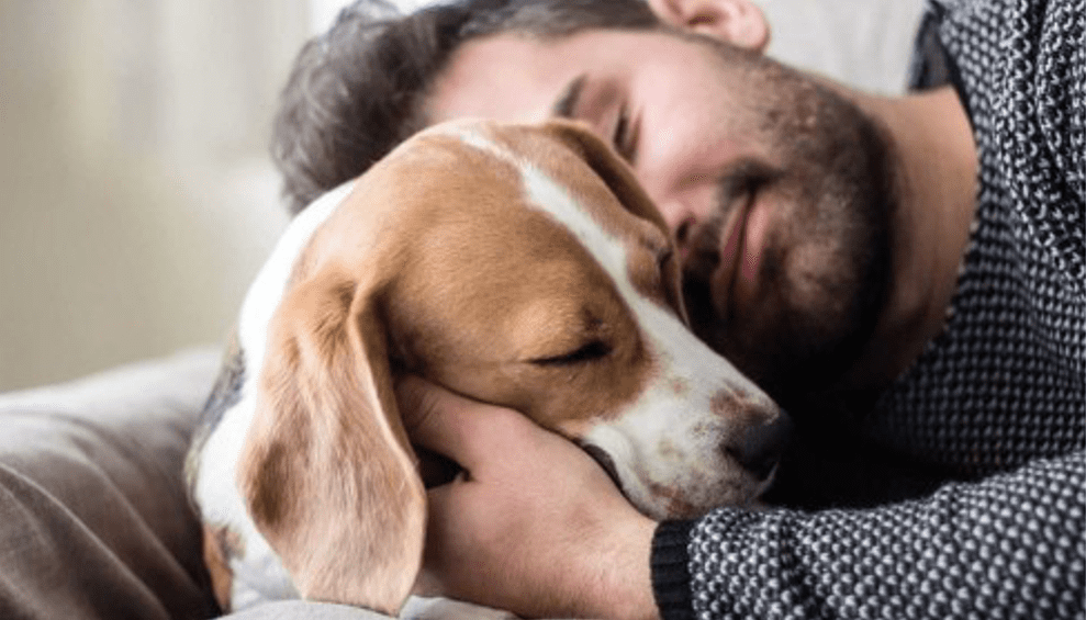 🐾 Certificado de Apoyo Emocional en Animales (CEA) 🐾 Certificado de Apoyo Emocional en Animales (CEA)