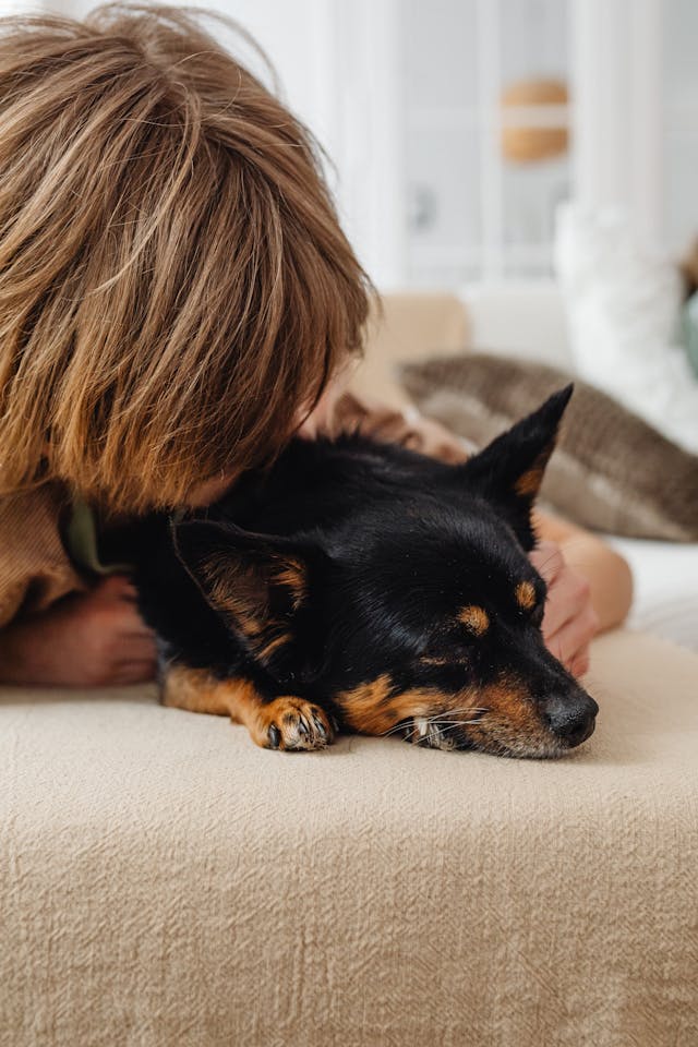 Emisión del Certificado de Apoyo Emocional en Animales, con validez legal, personalizado y firmado por un profesional autorizado. Emisión del Certificado de Apoyo Emocional en Animales, con validez legal, personalizado y firmado por un profesional autorizado.